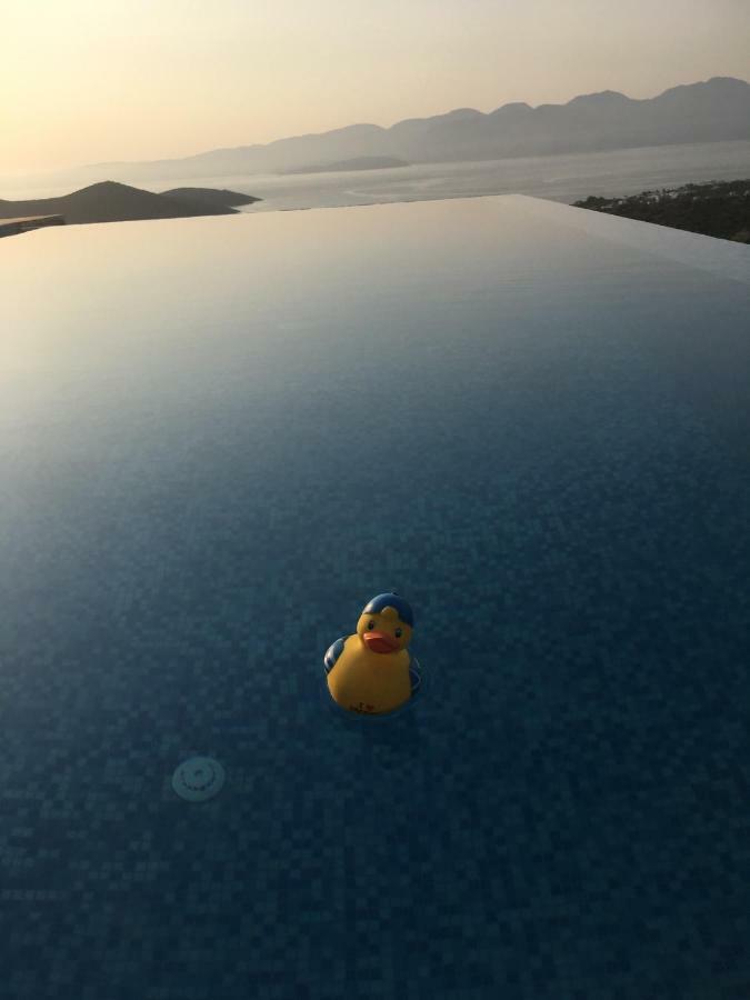 Villa Estee, Luxury Villa With Private Infinity Pool And Jacuzzi Elounda  Exterior photo